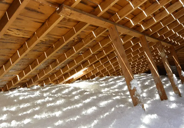 Insulated Attic Mold Growth