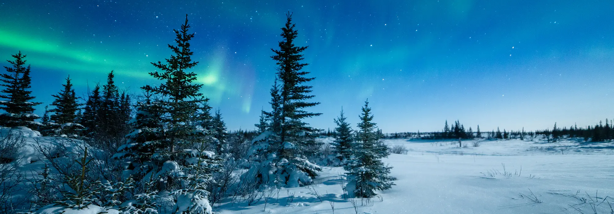 Indigenous Self Determination In Northern Canada And Norway