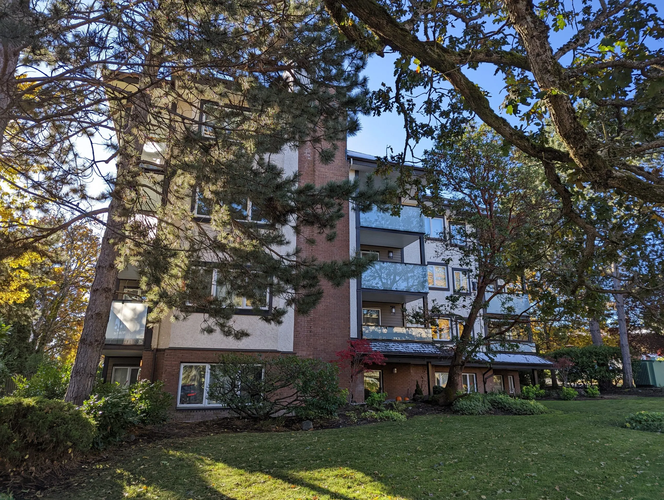 Pxl_20221109_182829960 1