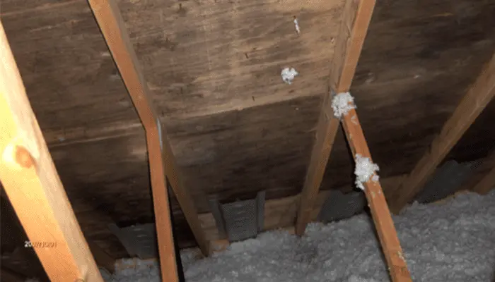 Mold in Ventilated Attics